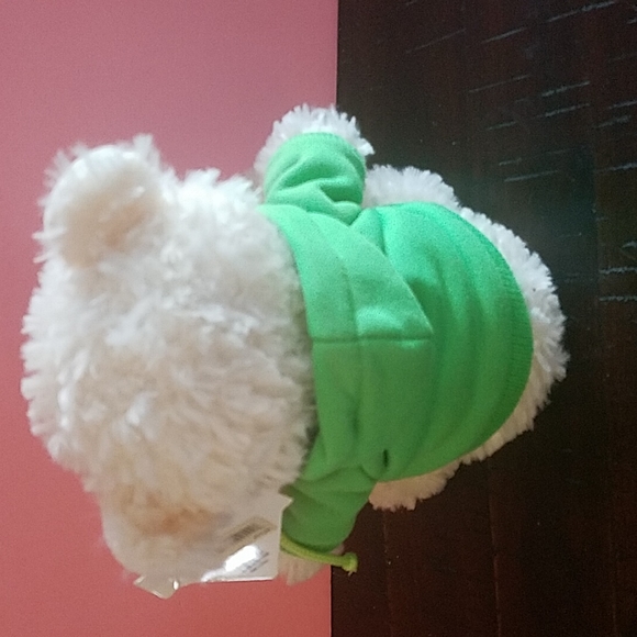 Plush Bear wearing green Boston sweatshirt - Picture 5 of 5